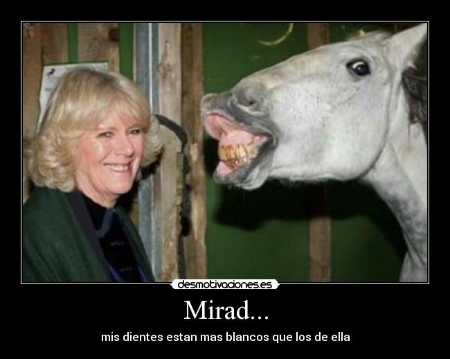 carteles amor desmotivaciones