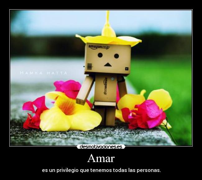 Amar - es un privilegio que tenemos todas las personas.