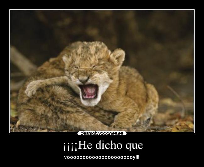 ¡¡¡¡He dicho que - voooooooooooooooooooooy!!!!