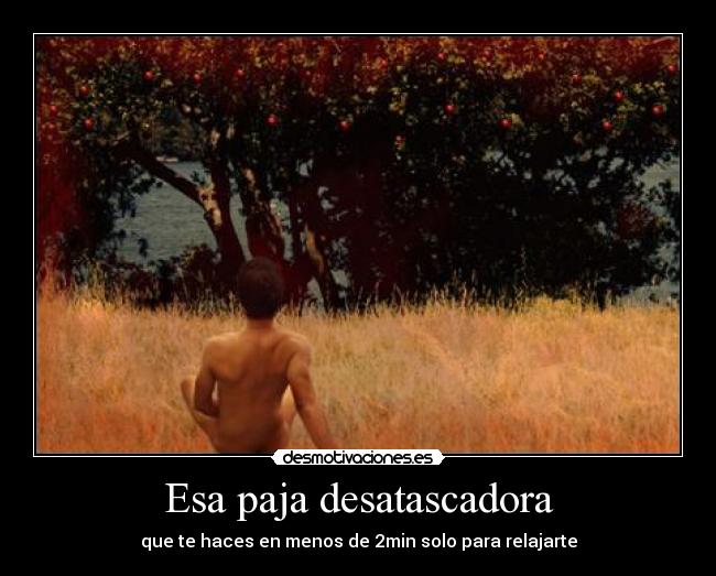 Esa paja desatascadora - 