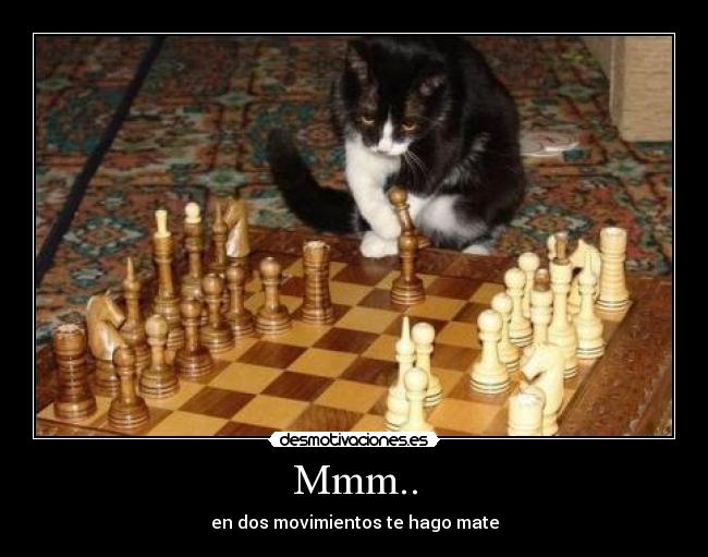 Mmm.. - en dos movimientos te hago mate