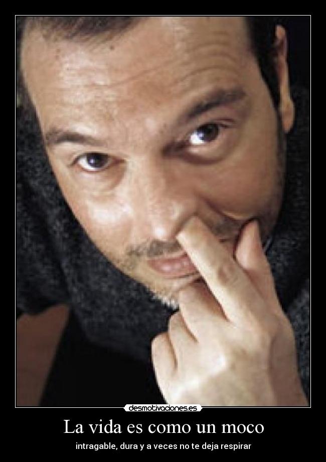 carteles vida vida moco desmotivaciones