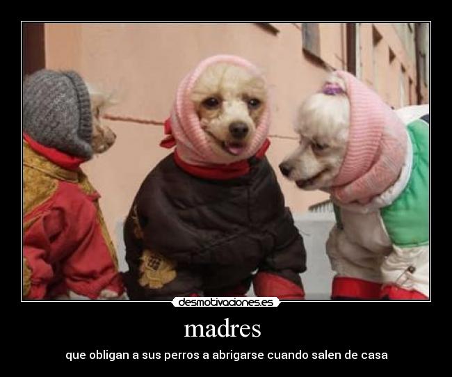 madres  - 