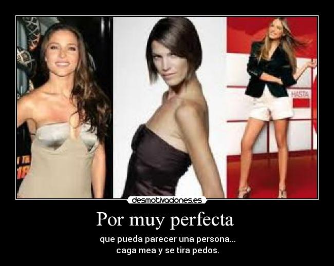 Por muy perfecta - que pueda parecer una persona...
caga mea y se tira pedos.