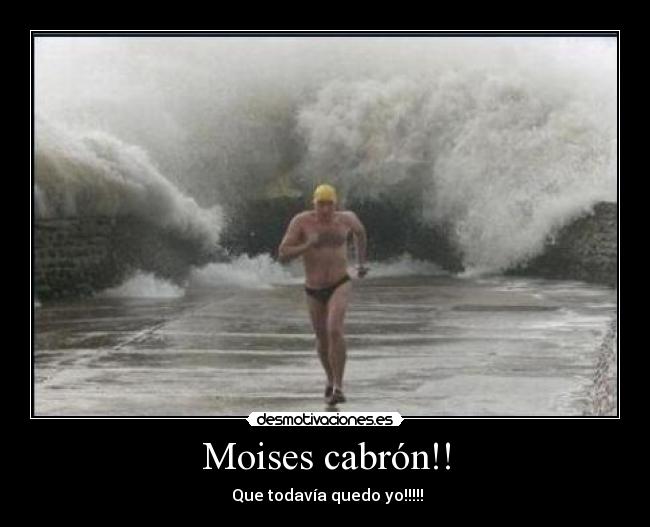 Moises cabrón!! - 