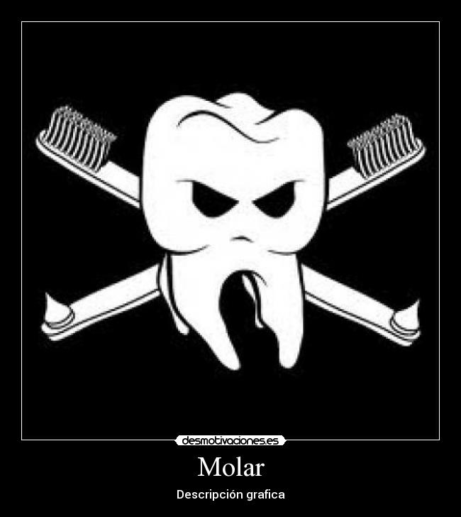 Molar - Descripción grafica