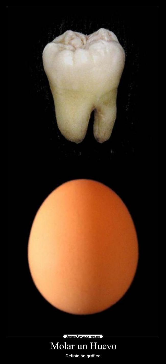 Molar un Huevo -
