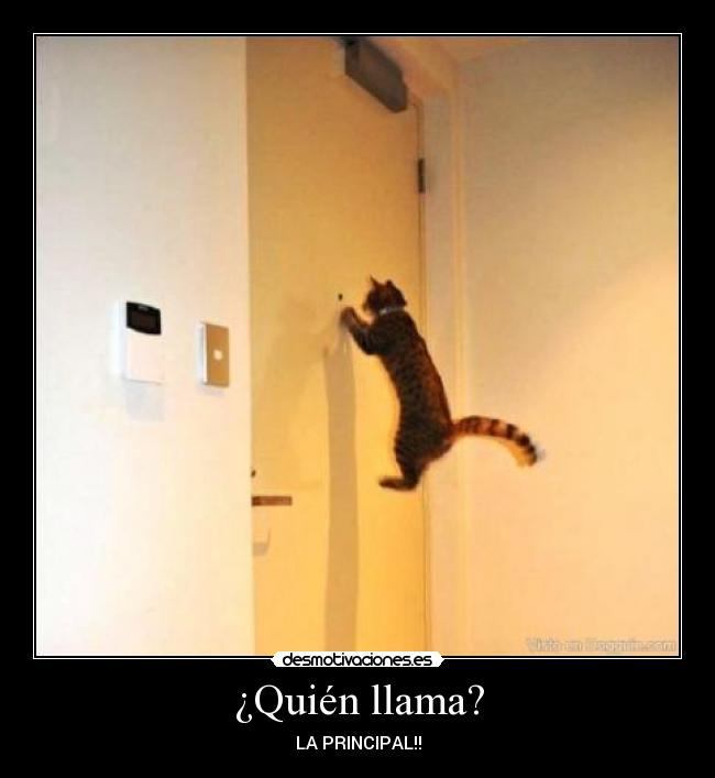 ¿Quién llama? - 