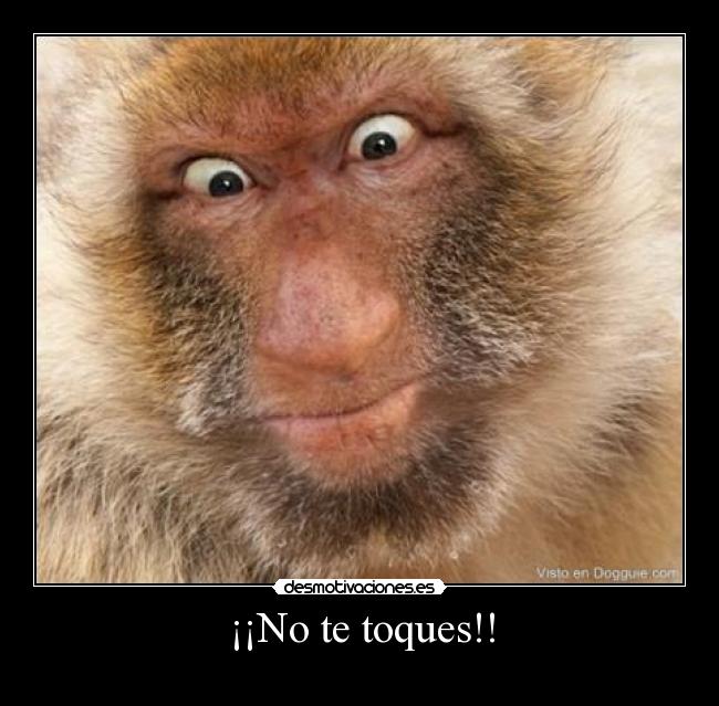 ¡¡No te toques!! -