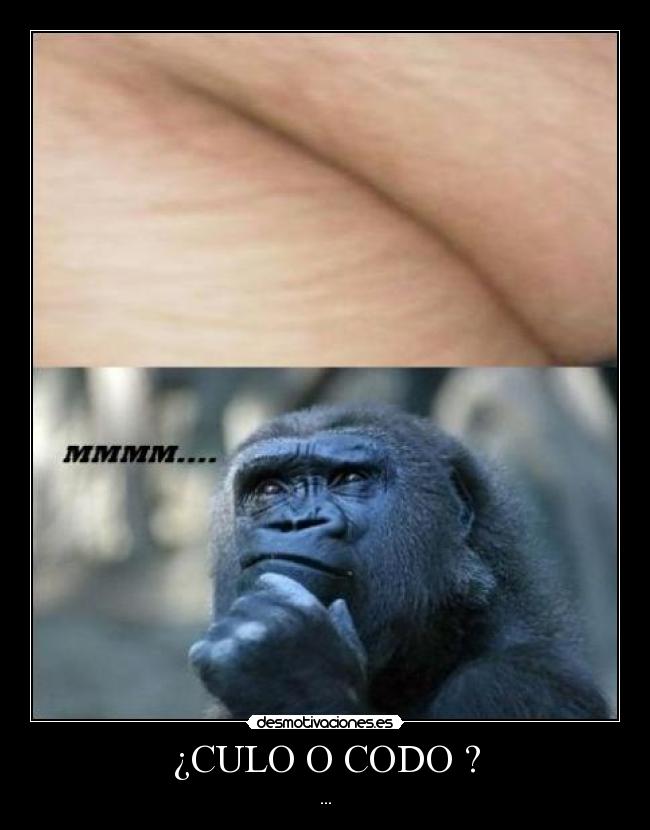 ¿CULO O CODO ? -