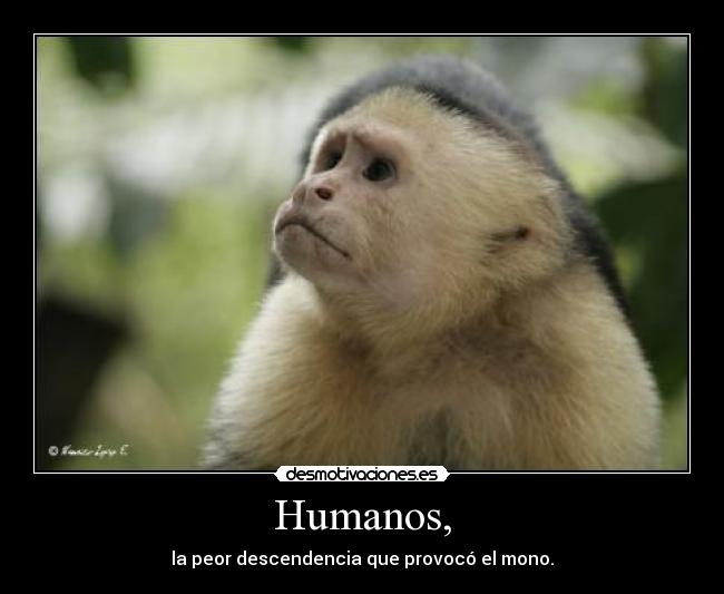 Humanos, -