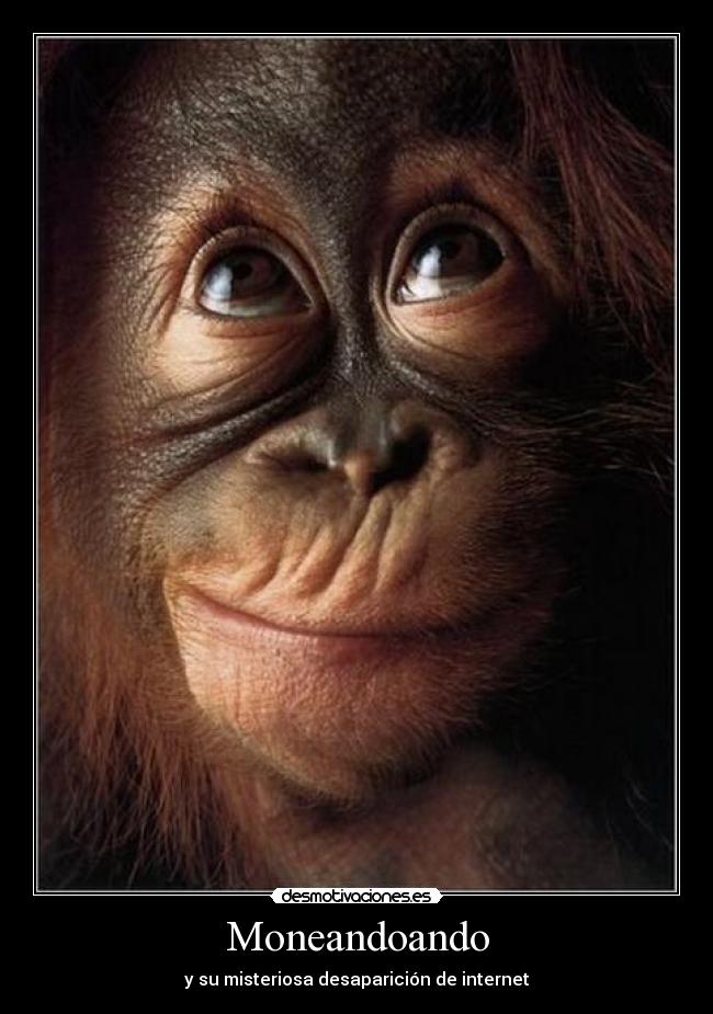 Moneandoando - y su misteriosa desaparición de internet