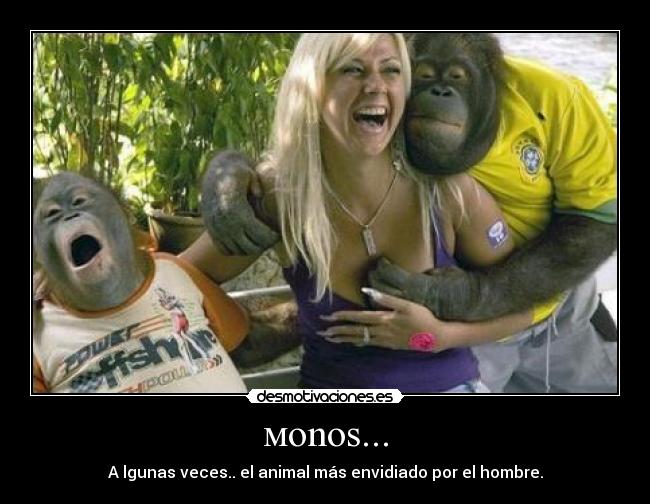 мonos... -