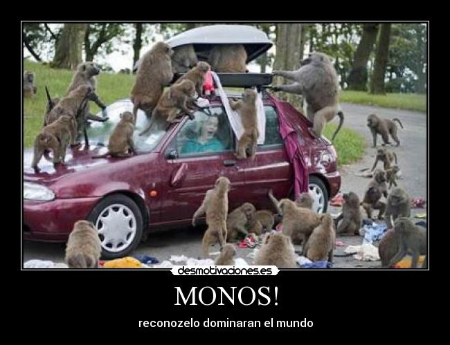 MONOS! -