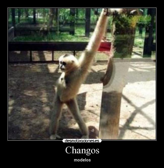 Changos - 