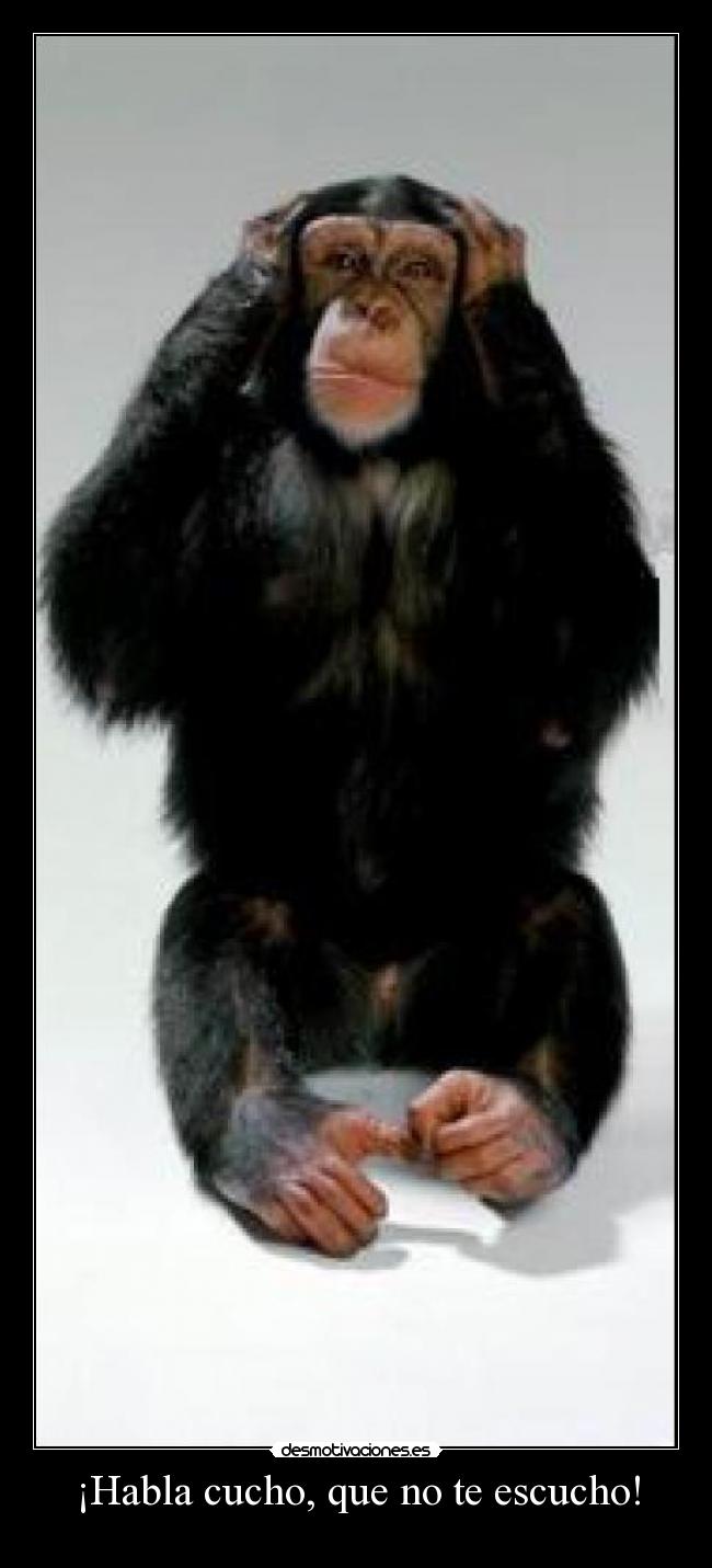 ¡Habla cucho, que no te escucho! -