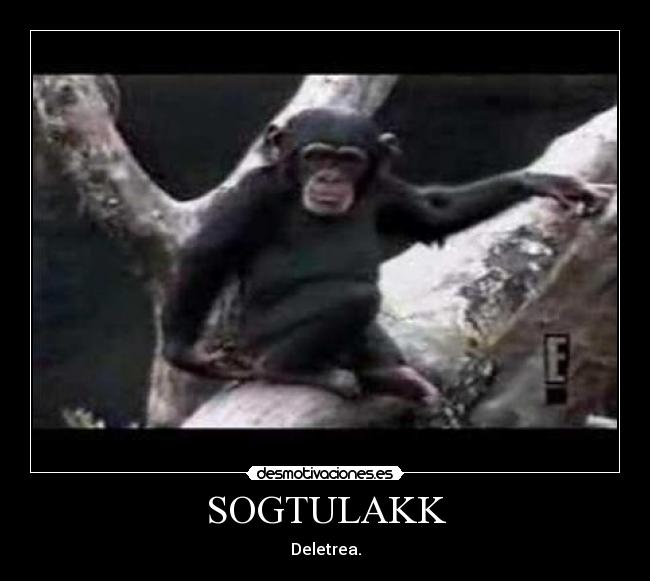SOGTULAKK -