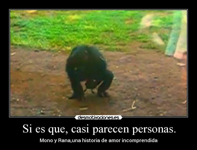 carteles nualit desmotivaciones