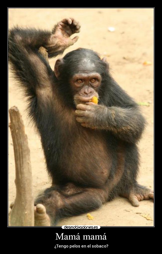 Mamá mamá - ¿Tengo pelos en el sobaco?