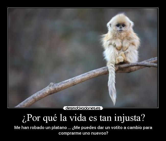 ¿Por qué la vida es tan injusta? - Me han robado un platano ... ¿Me puedes dar un votito a cambio para
comprarme uno nuevoo?