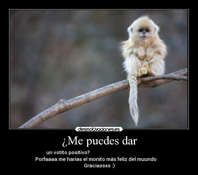 ¿Me puedes dar - un votito positivo?                                                   
      Porfaaaa me harias el monito más feliz del muundo           
Graciassss :)