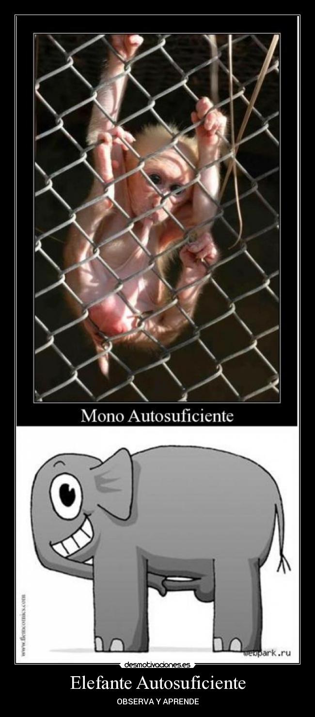 Elefante Autosuficiente - 