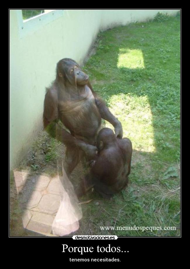 Porque todos... - 