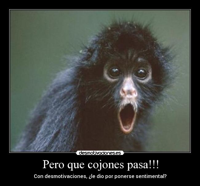 Pero que cojones pasa!!! -