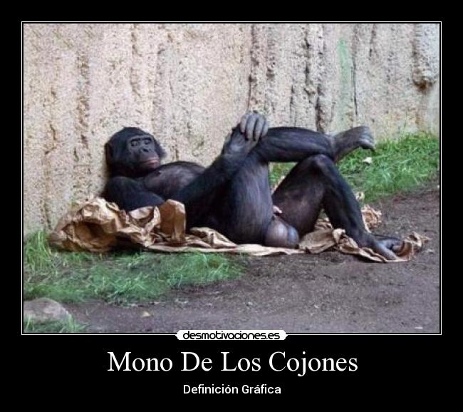 Mono De Los Cojones - 