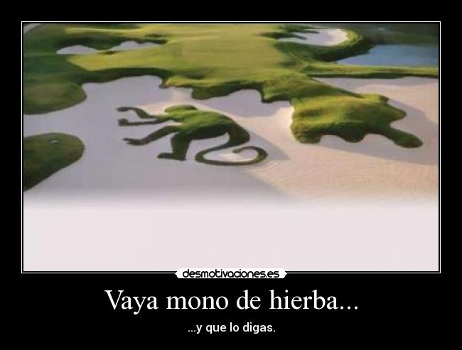 carteles mono hierba desmotivaciones