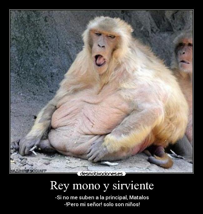 Rey mono y sirviente -