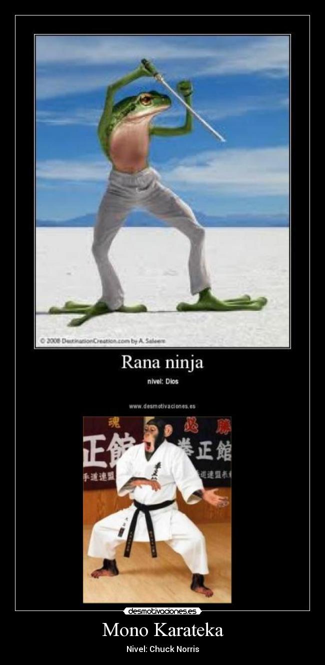 Mono Karateka -