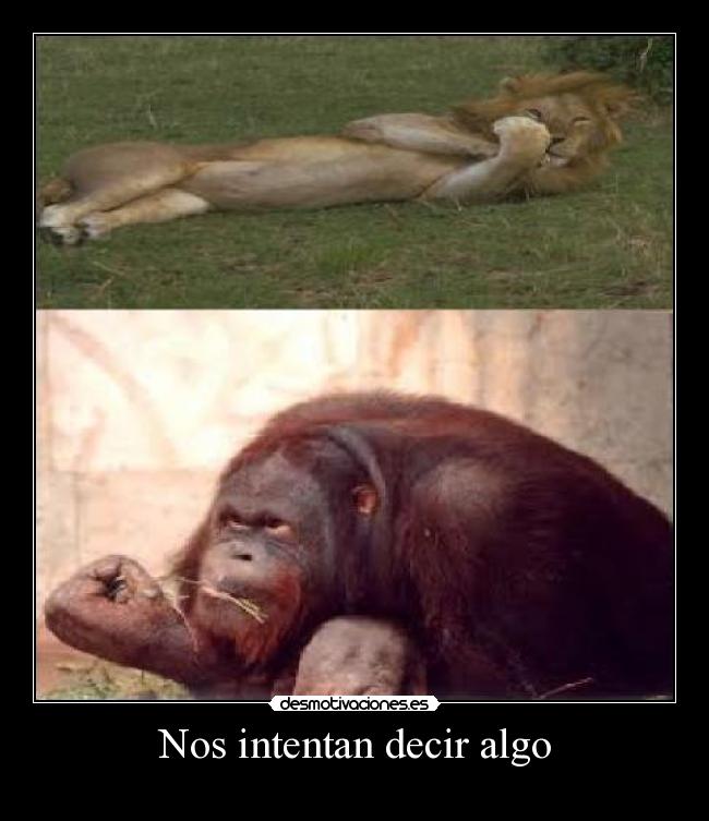 Nos intentan decir algo -