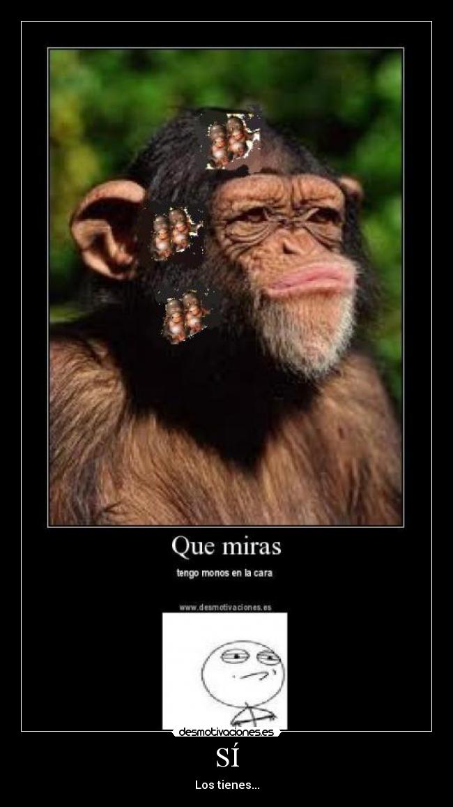 SÍ - Los tienes...