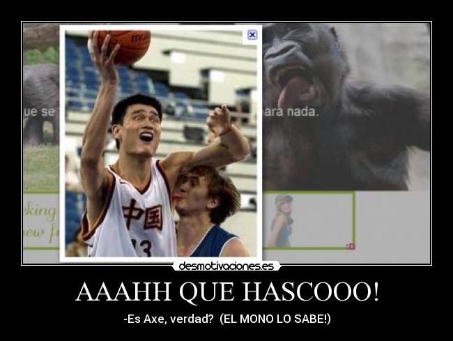 AAAHH QUE HASCOOO! - -Es Axe, verdad? (EL MONO LO SABE!)