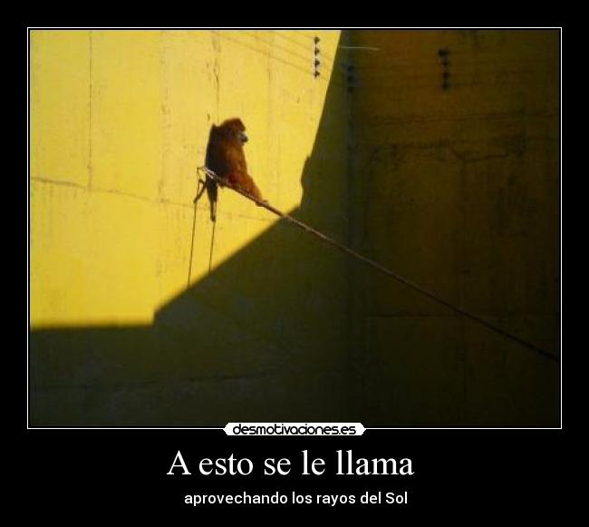 A esto se le llama  - aprovechando los rayos del Sol