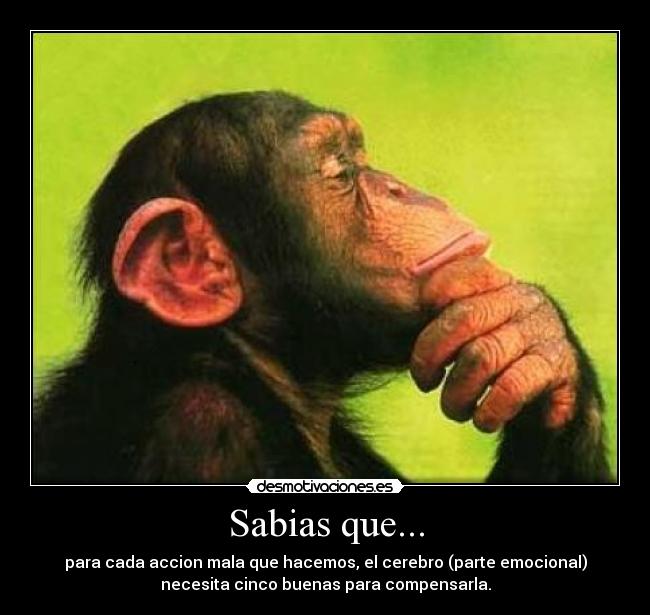 carteles sentimientos mono sabias que cerebro emociones compensar desmotivaciones