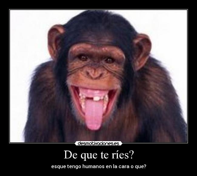 De que te ríes? - 