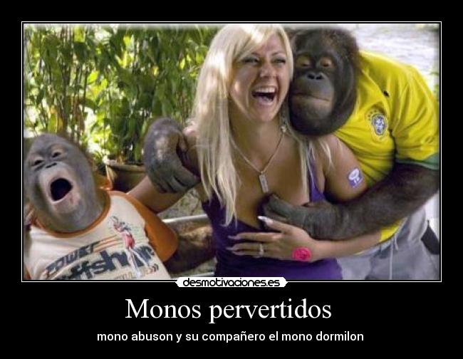 Monos pervertidos -