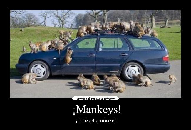 ¡Mankeys! - ¡Utilizad arañazo!