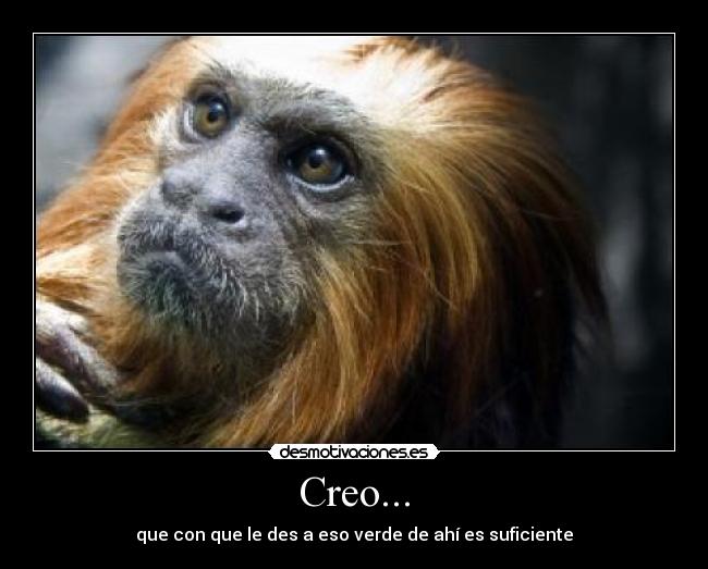Creo... -