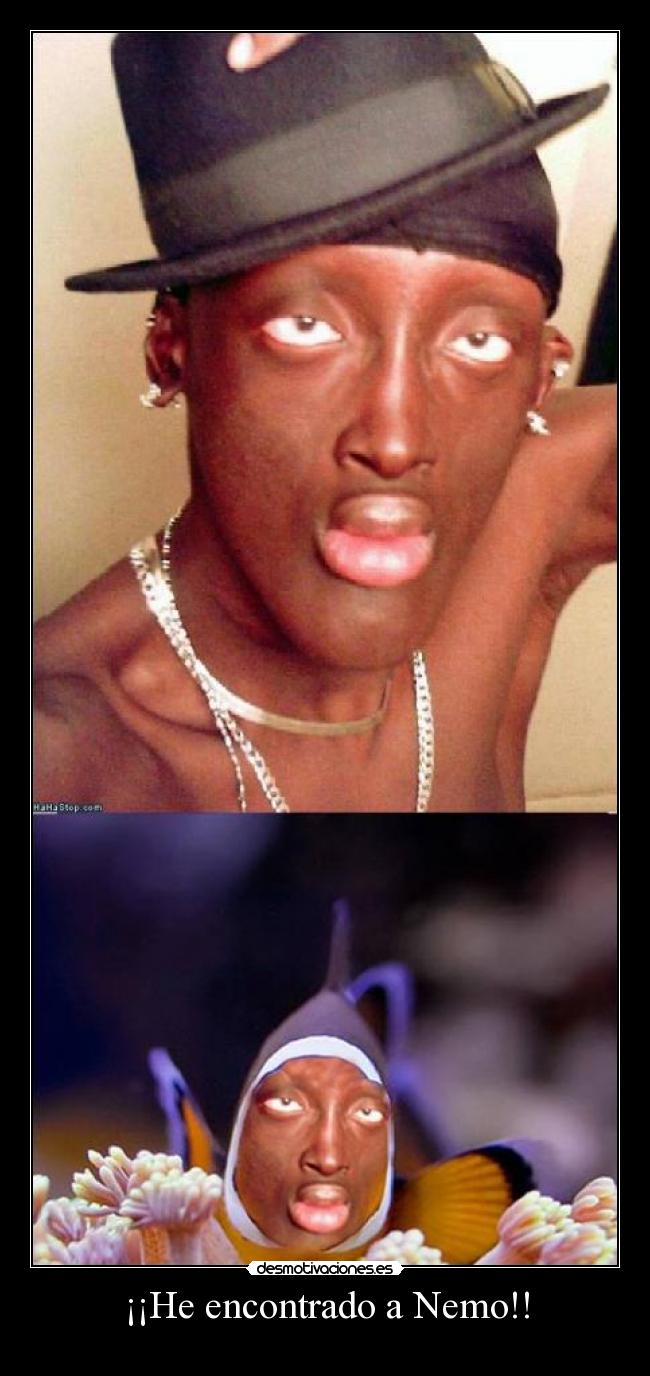 ¡¡He encontrado a Nemo!! -