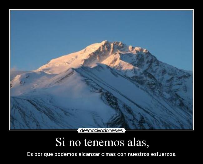 Si no tenemos alas, -