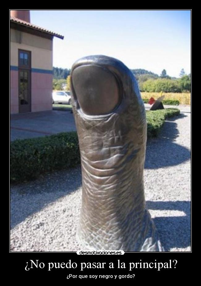 ¿No puedo pasar a la principal? - ¿Por que soy negro y gordo?