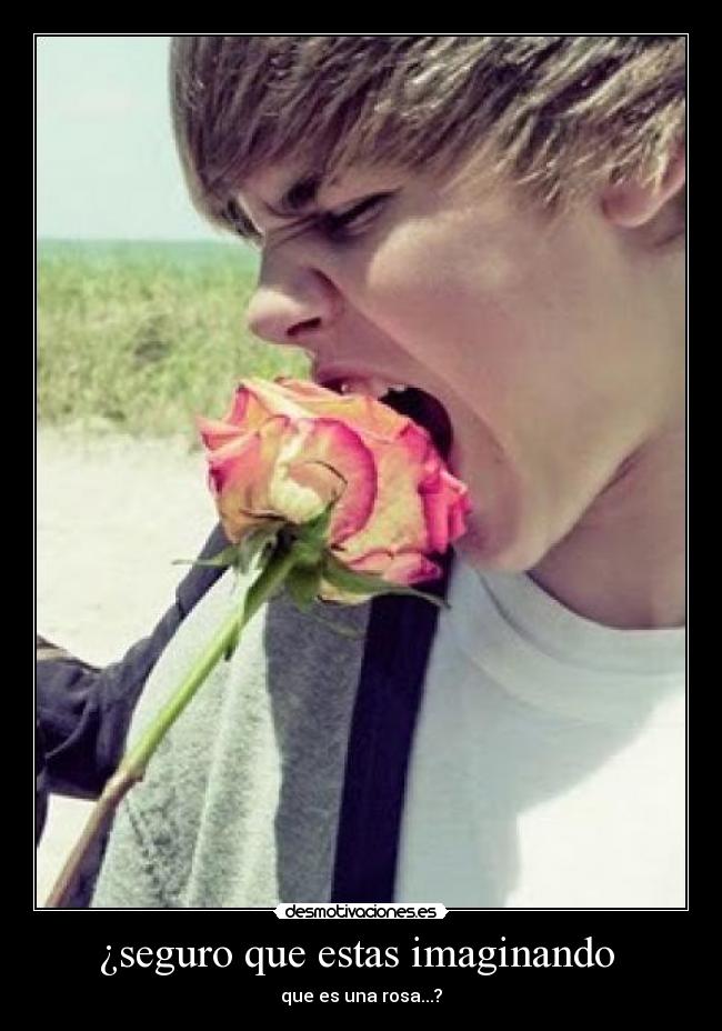 ¿seguro que estas imaginando -