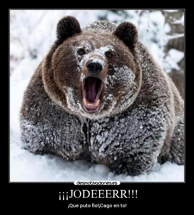 ¡¡¡JODEEERR!!! - 