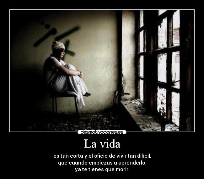 La vida - es tan corta y el oficio de vivir tan difícil,
que cuando empiezas a aprenderlo,
ya te tienes que morir.