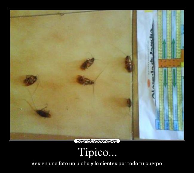 Típico... - 