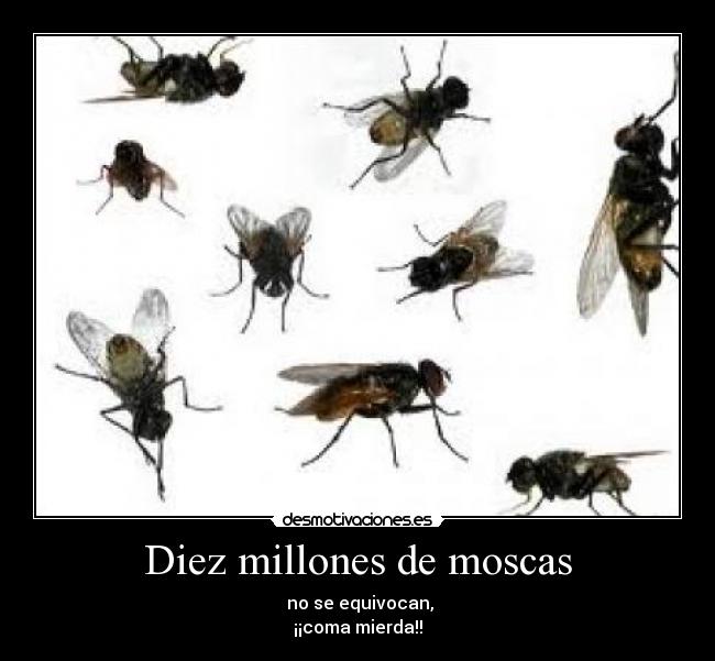 Diez millones de moscas -  no se equivocan,
¡¡coma mierda!!
