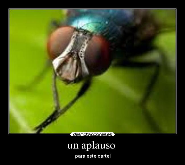 un aplauso -